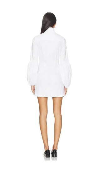 Caroline Constas Jacqueline High Neck Ruffle Mini Shirt Dress *FINAL SALE*